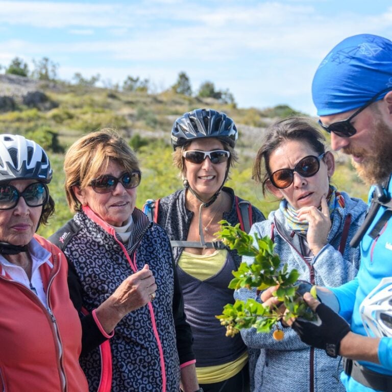 Guide and a group in South Dalmatia