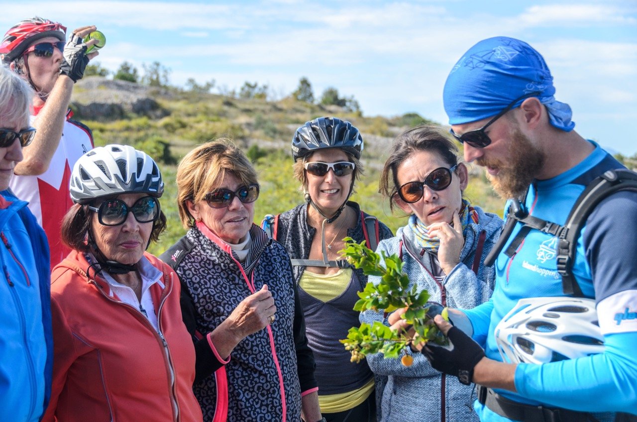 Guide and a group in South Dalmatia