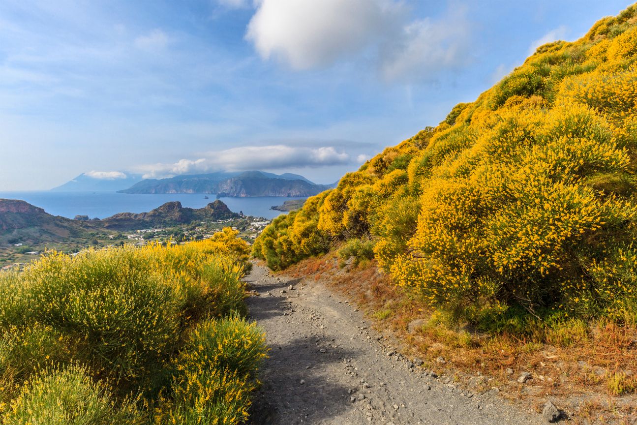 The hiking trail surrounded by Mediterranean plants on the island of Vulcano, with views of the sea and surrounding islands.