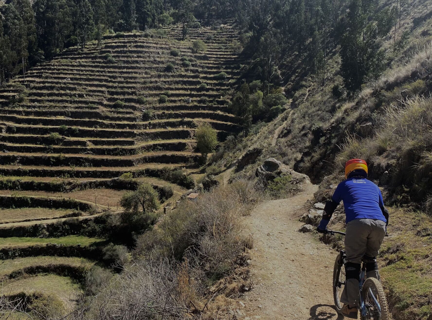 Incan terraces in Peru near singletrack