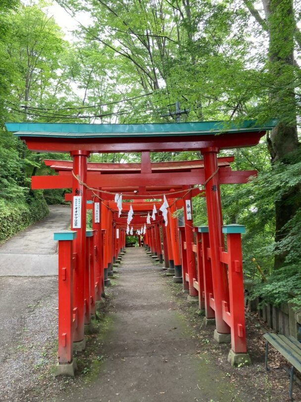 Guided Nakasendo bike tour