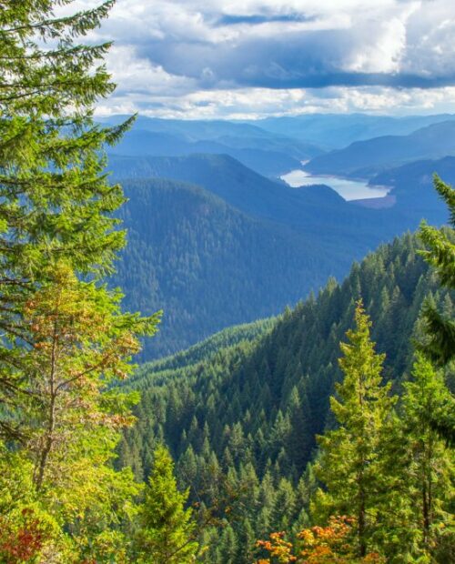 Guided MTB & Camping Trip in Oakridge, Oregon 57hours