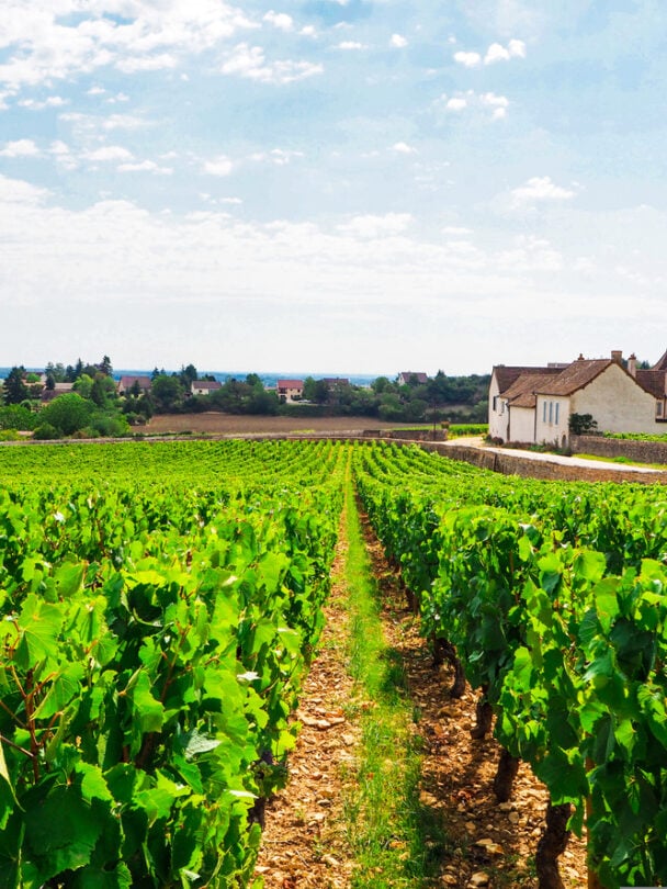 Self-guided Burgundy bike tour