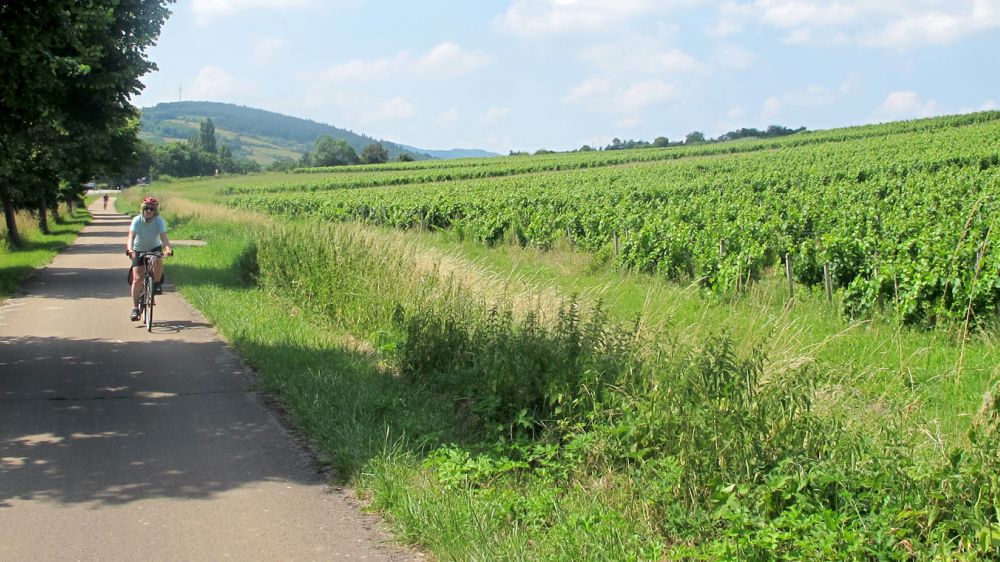 Voie Verte in Burgundy
