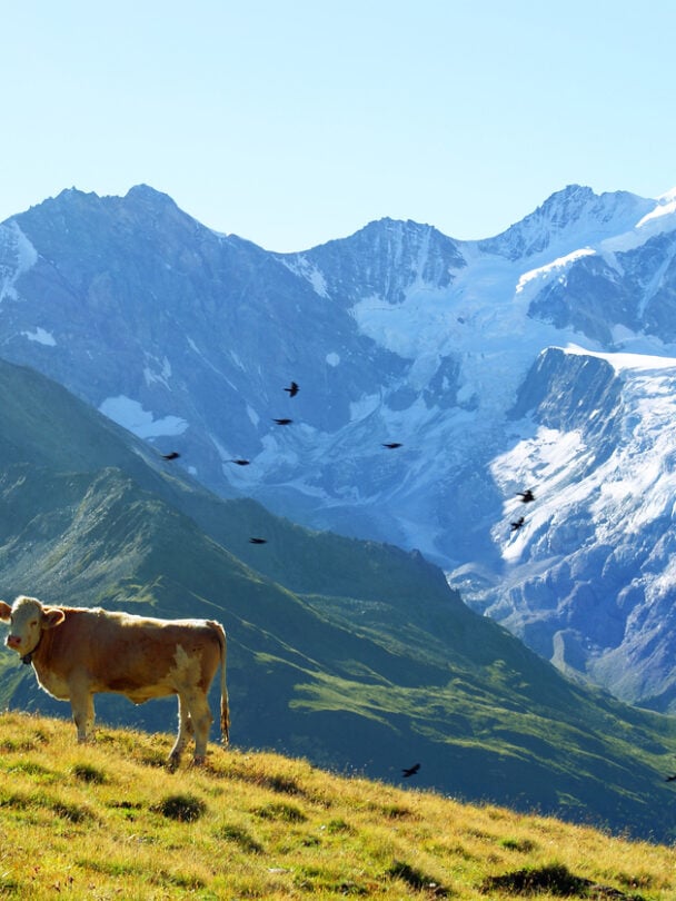 Self-guided Haute Route