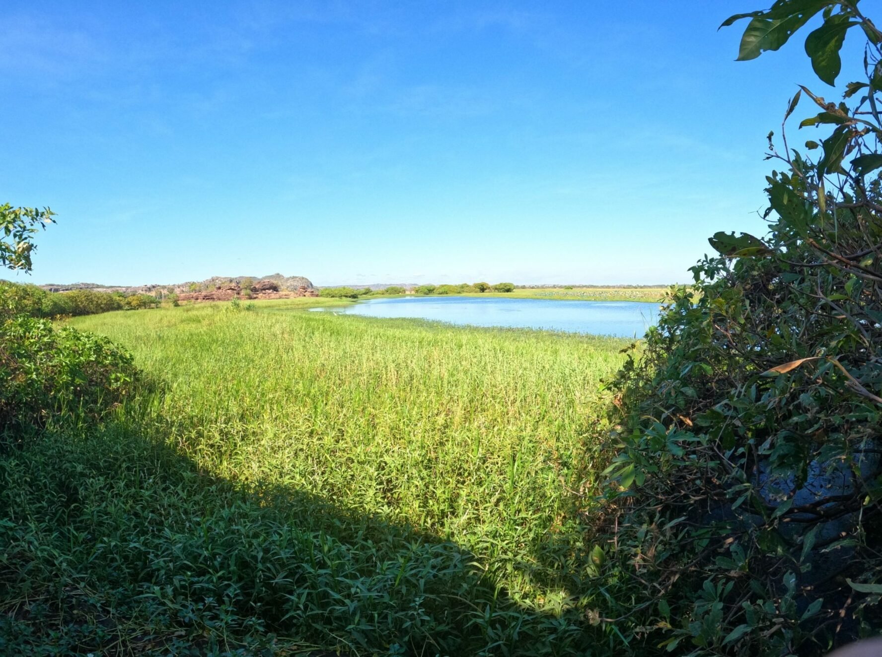A floodland in the Arnhem Land, Australia.
