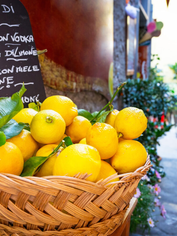 Cinque Terre Portofino tour