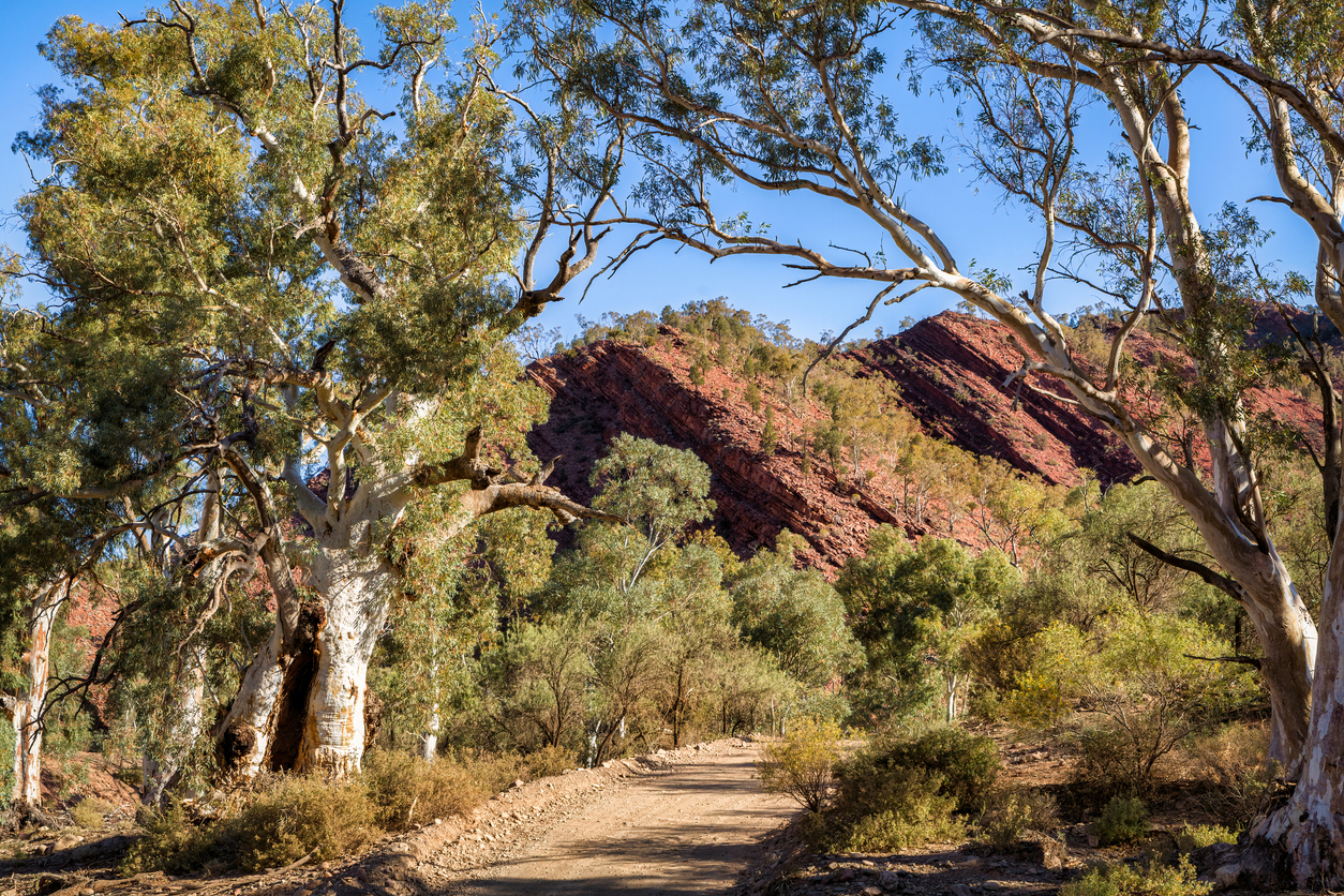 Brachina Gorge, Flinders, Australia.