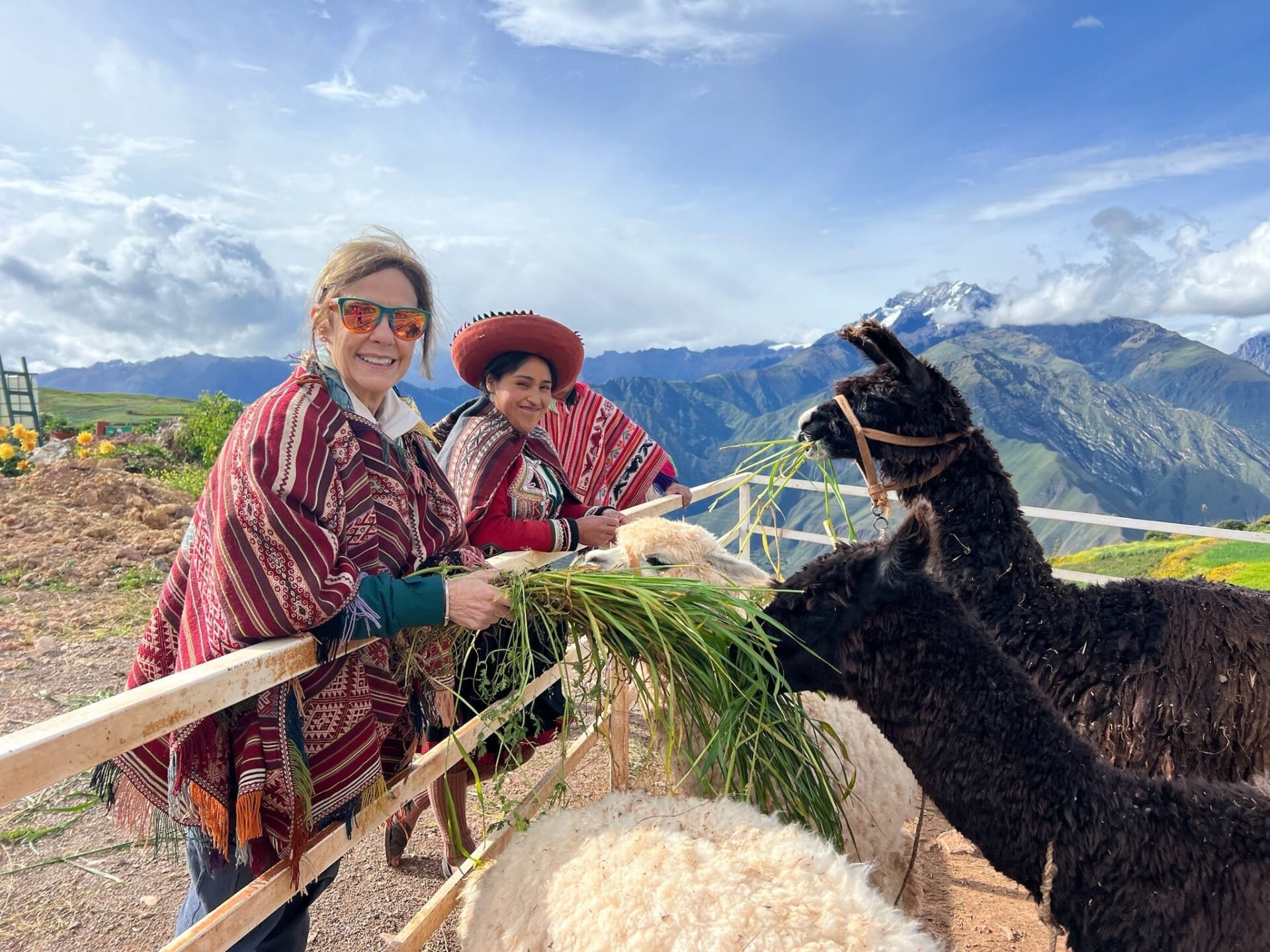 Cute llamas Machu Picchu Peru
