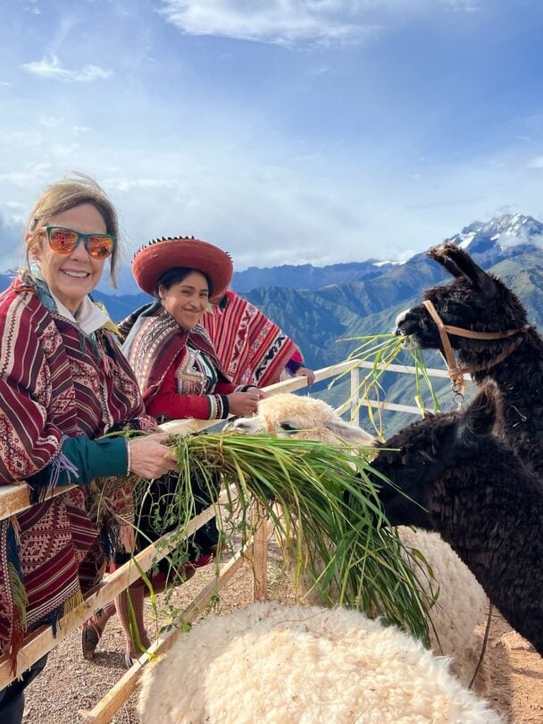 Cute llamas Machu Picchu Peru
