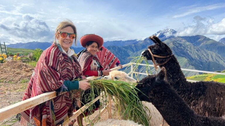 Cute llamas Machu Picchu Peru