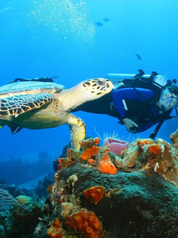 Galapagos & Amazon Quest: An Active Adventure