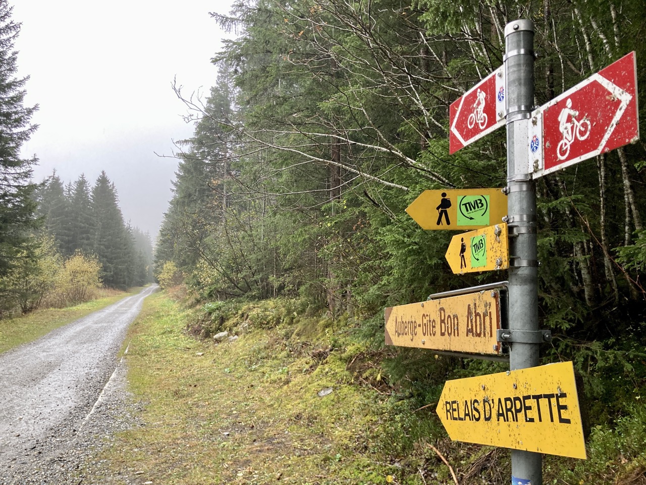 Forest path in Mont Blanc