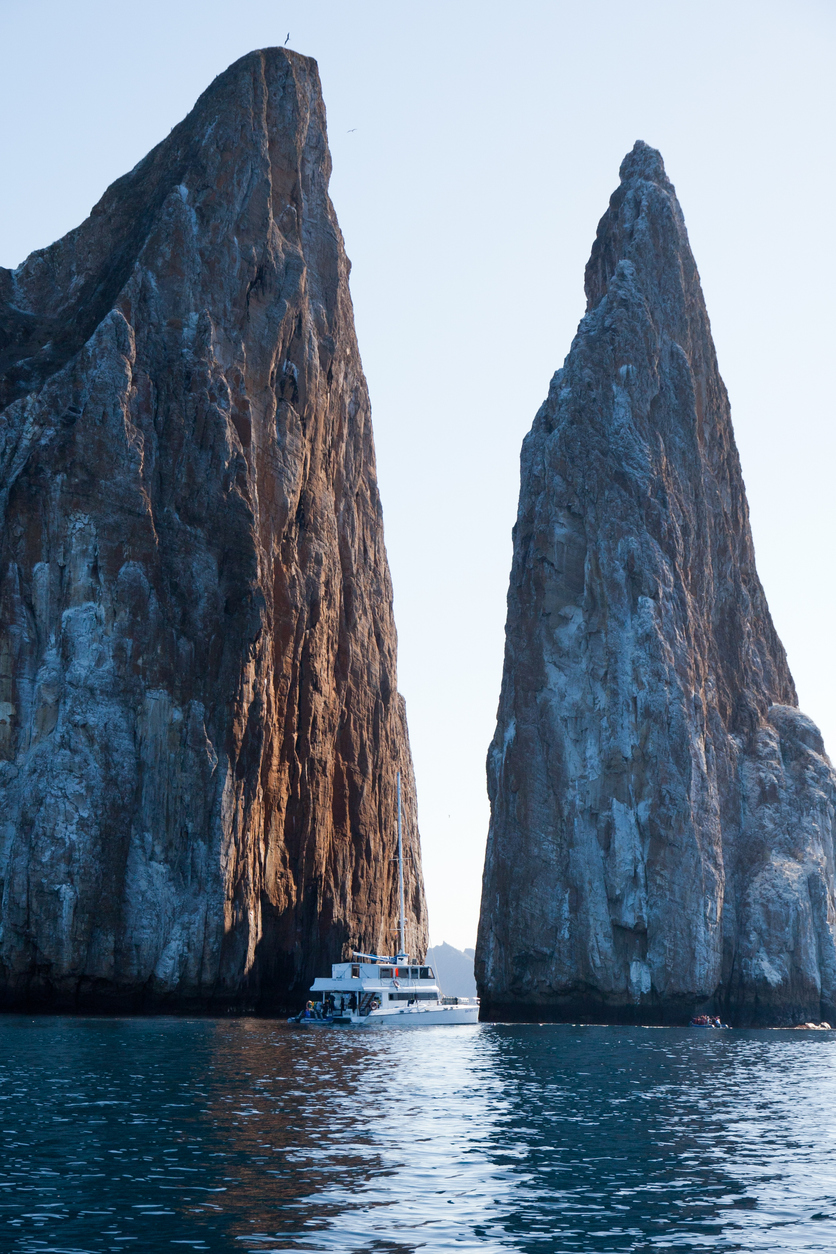 Galapagos sleeping lion canal