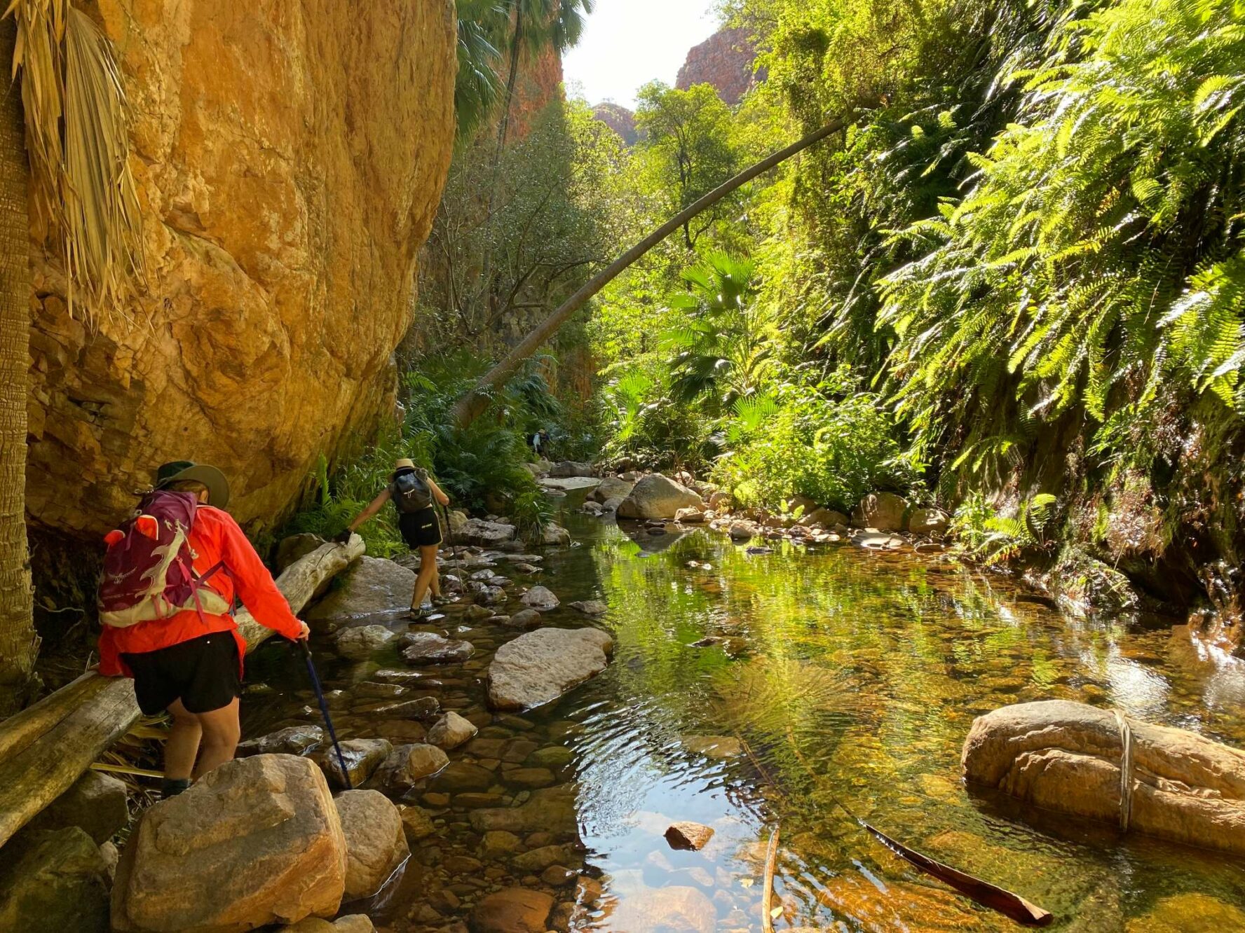 A hiker inside a gorge in the Ikara-Flinders Ranges, Australia.