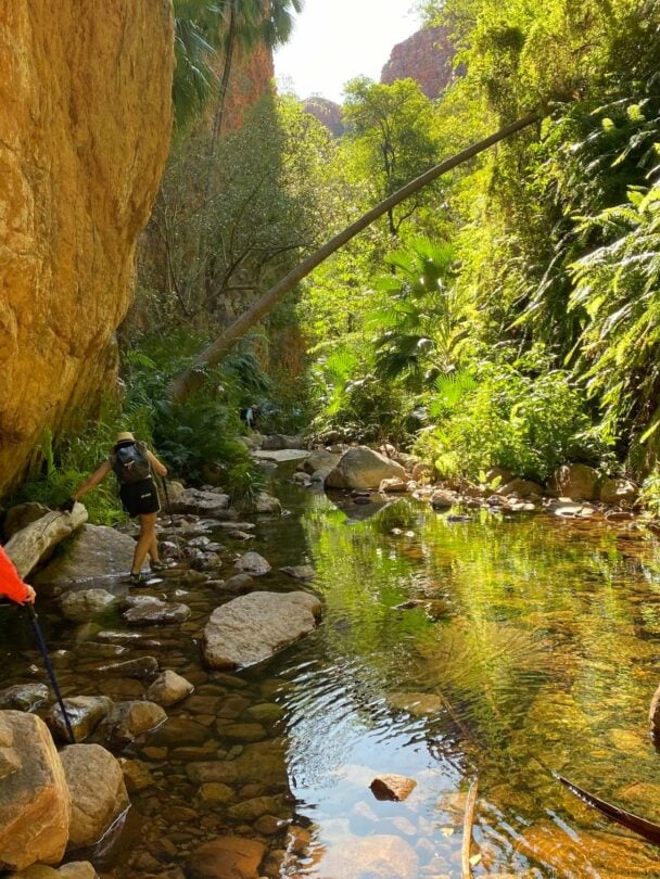 Ikara-Flinders Ranges Guided Hiking Trip