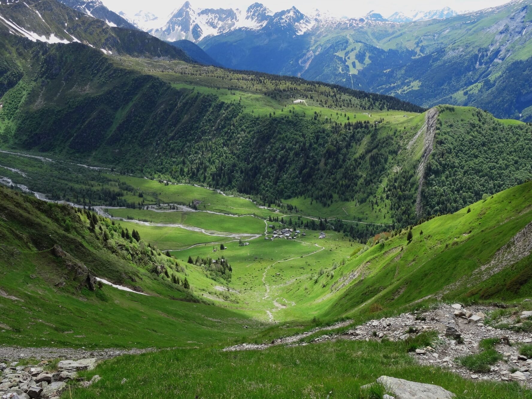 Gorgeous green valley in Alps