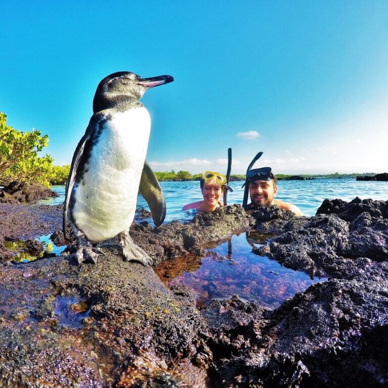 Guided Galapagos active holiday