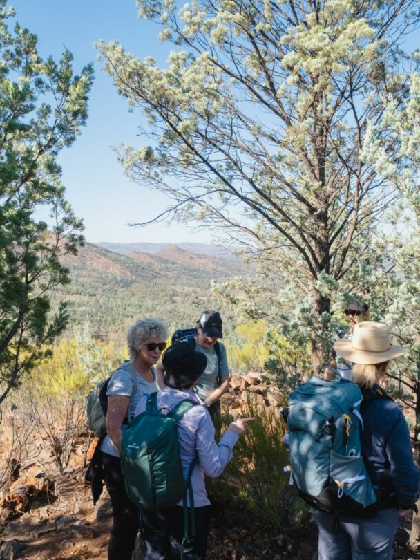 Ikara-Flinders Ranges Guided Hiking Trip