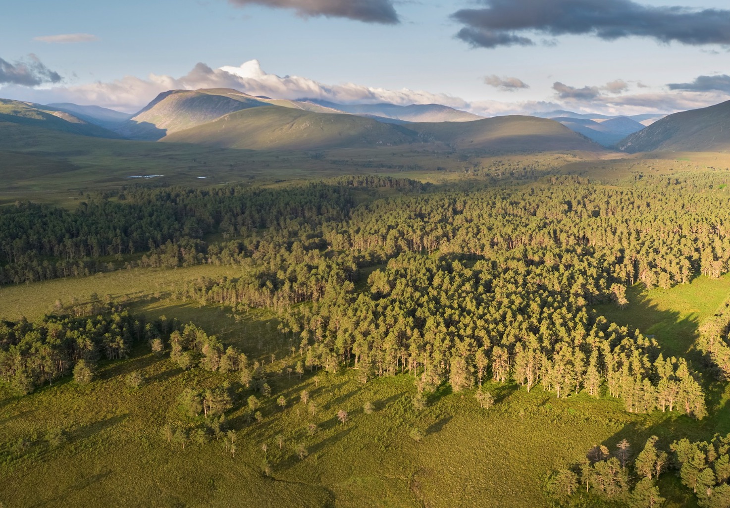 Green highlands from air