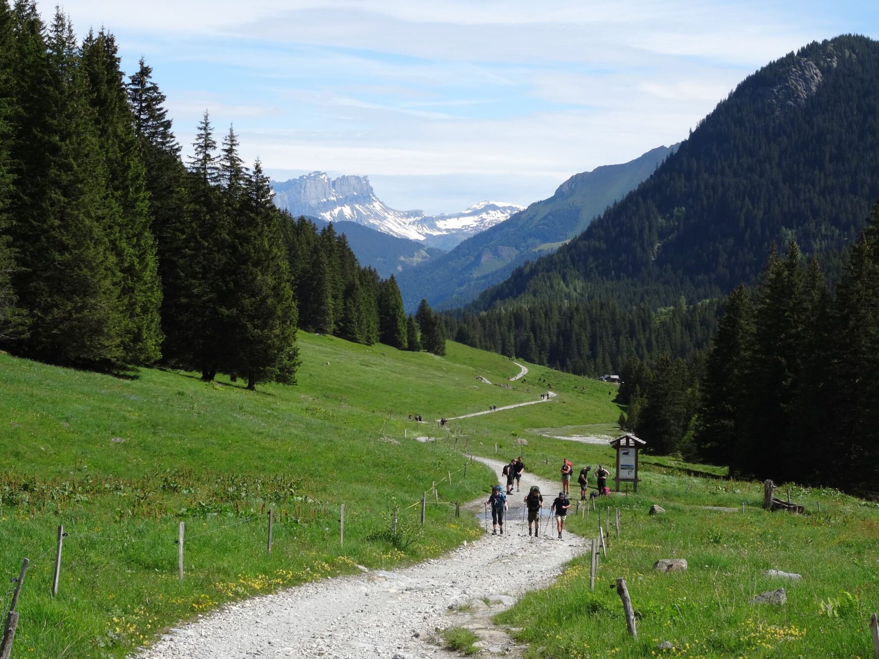 Hikers in a green valley on TMB