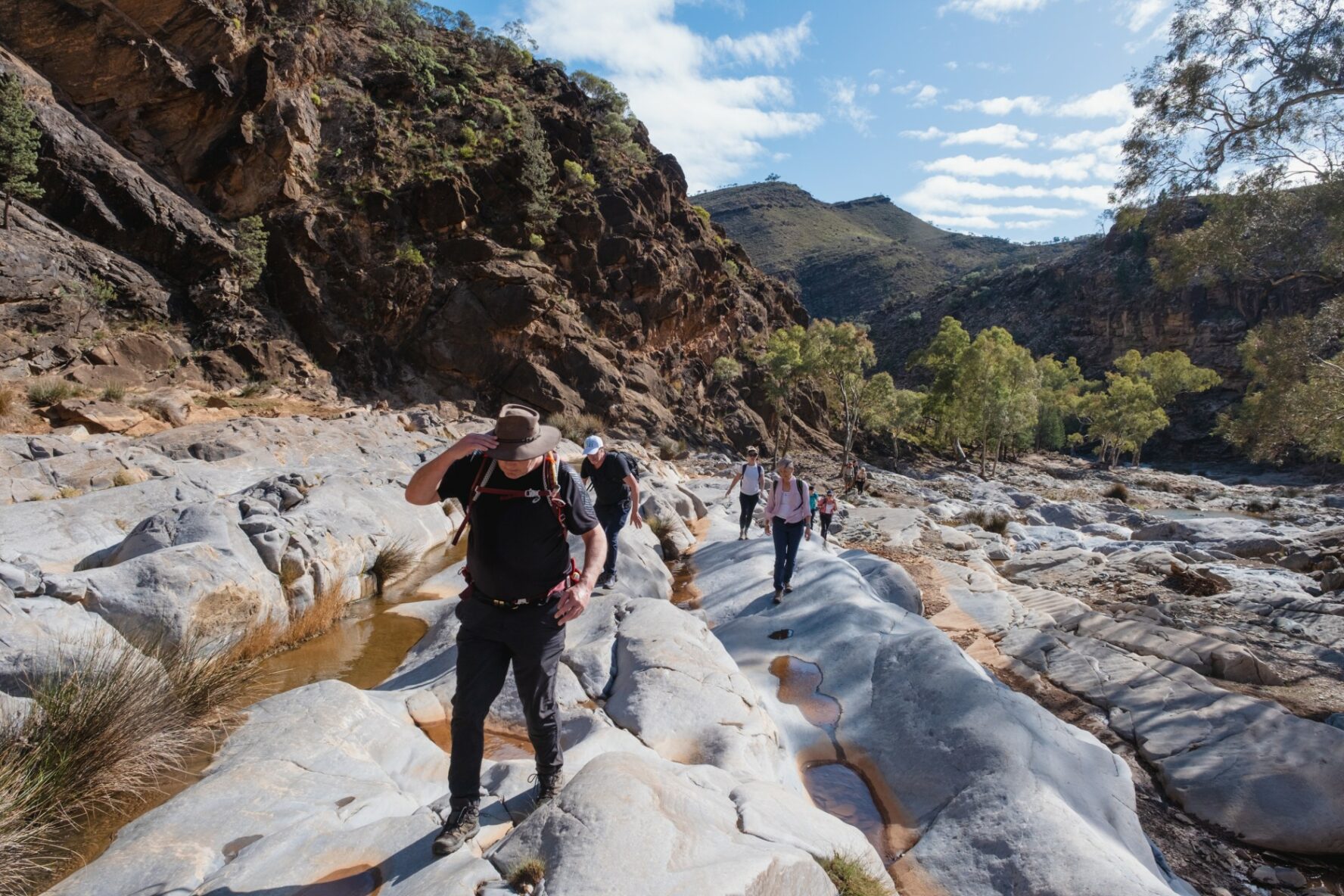 Hikers navigate a path with characteristic white rocks in the Ikara-Flinders.
