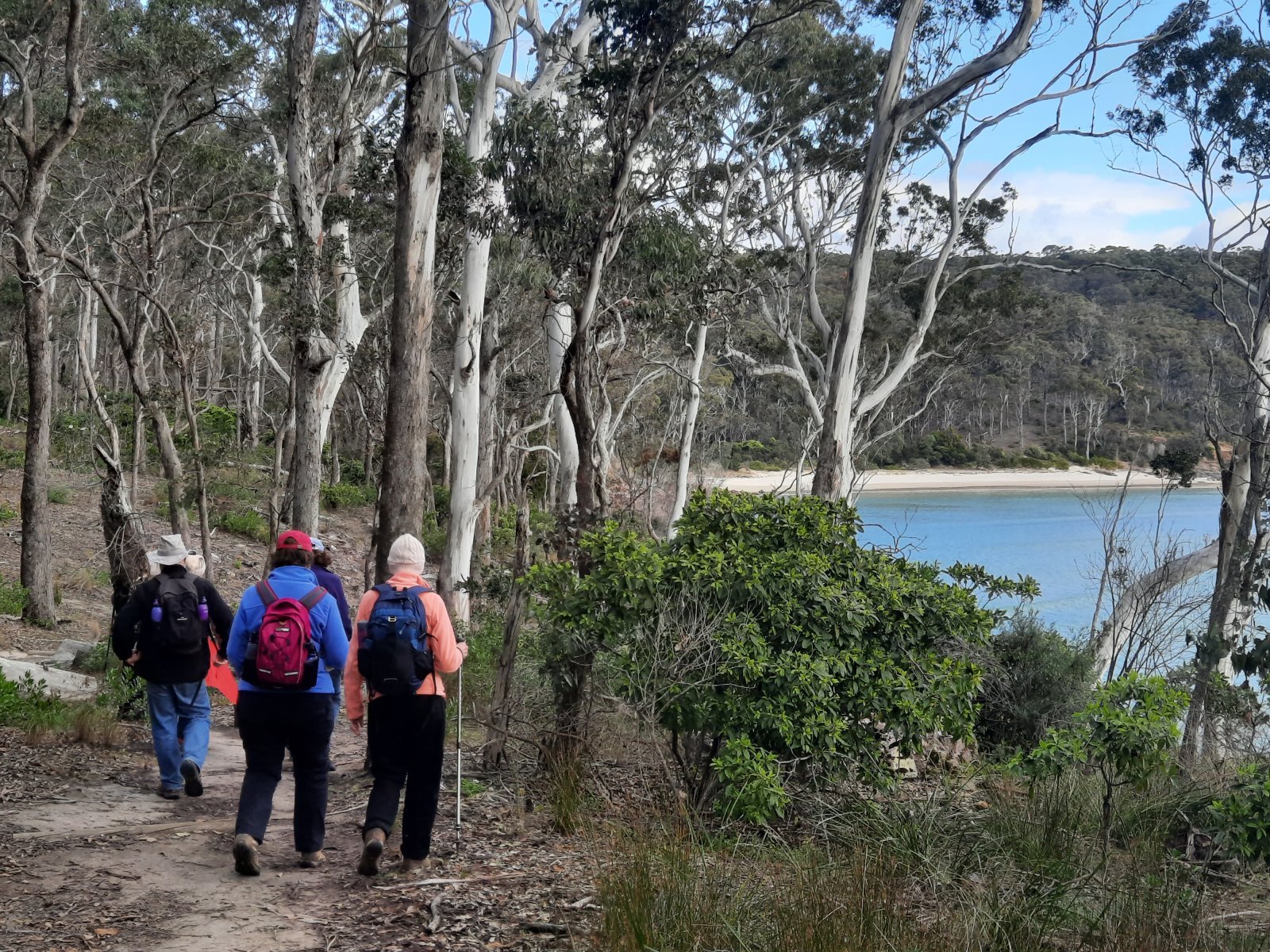 A group of hikers near a forested beach along Australia’s Sapphire Coast.