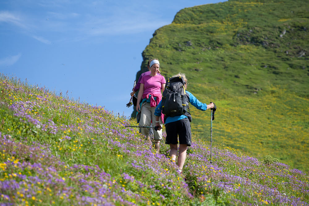 Hikers navigating the steep terrain of the Hornbjarg cliffs, Iceland.