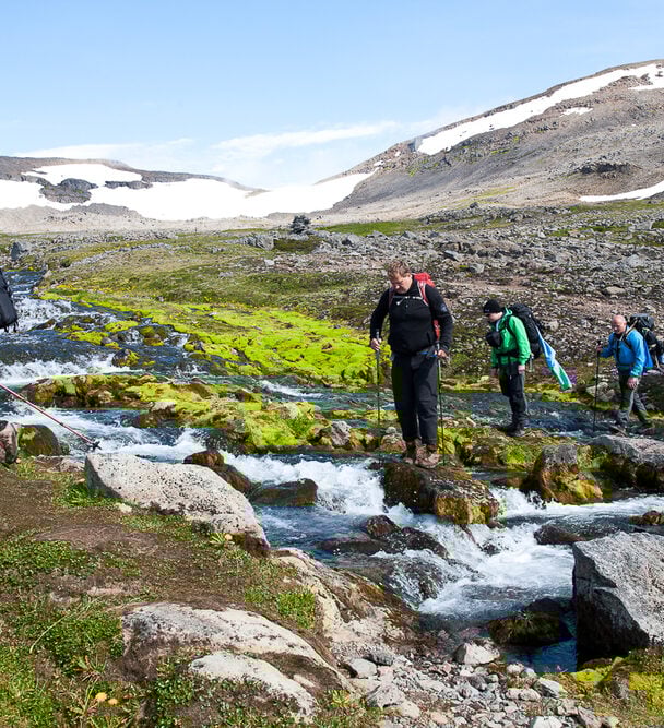 6-Day Backpacking Adventure in Hornstrandir Nature Reserve.