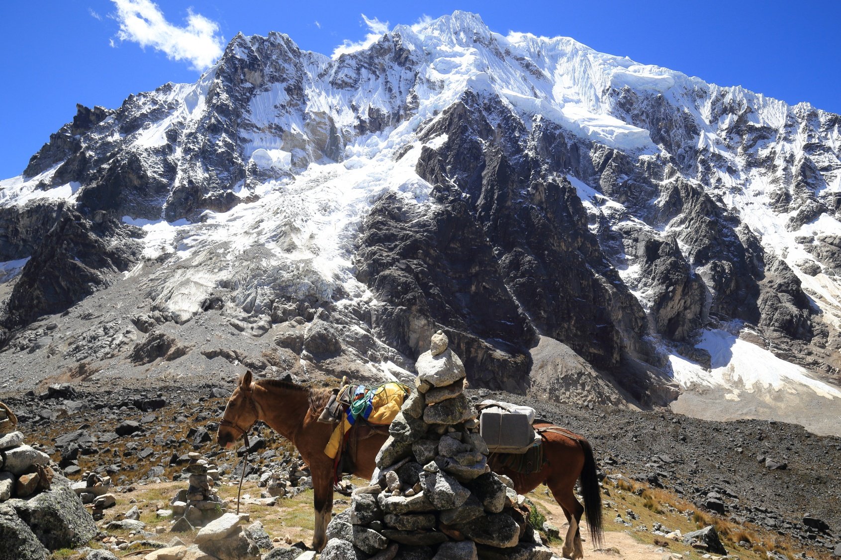A horse below a glaciated peak of the Salkantay mountain, Andes, Peru.