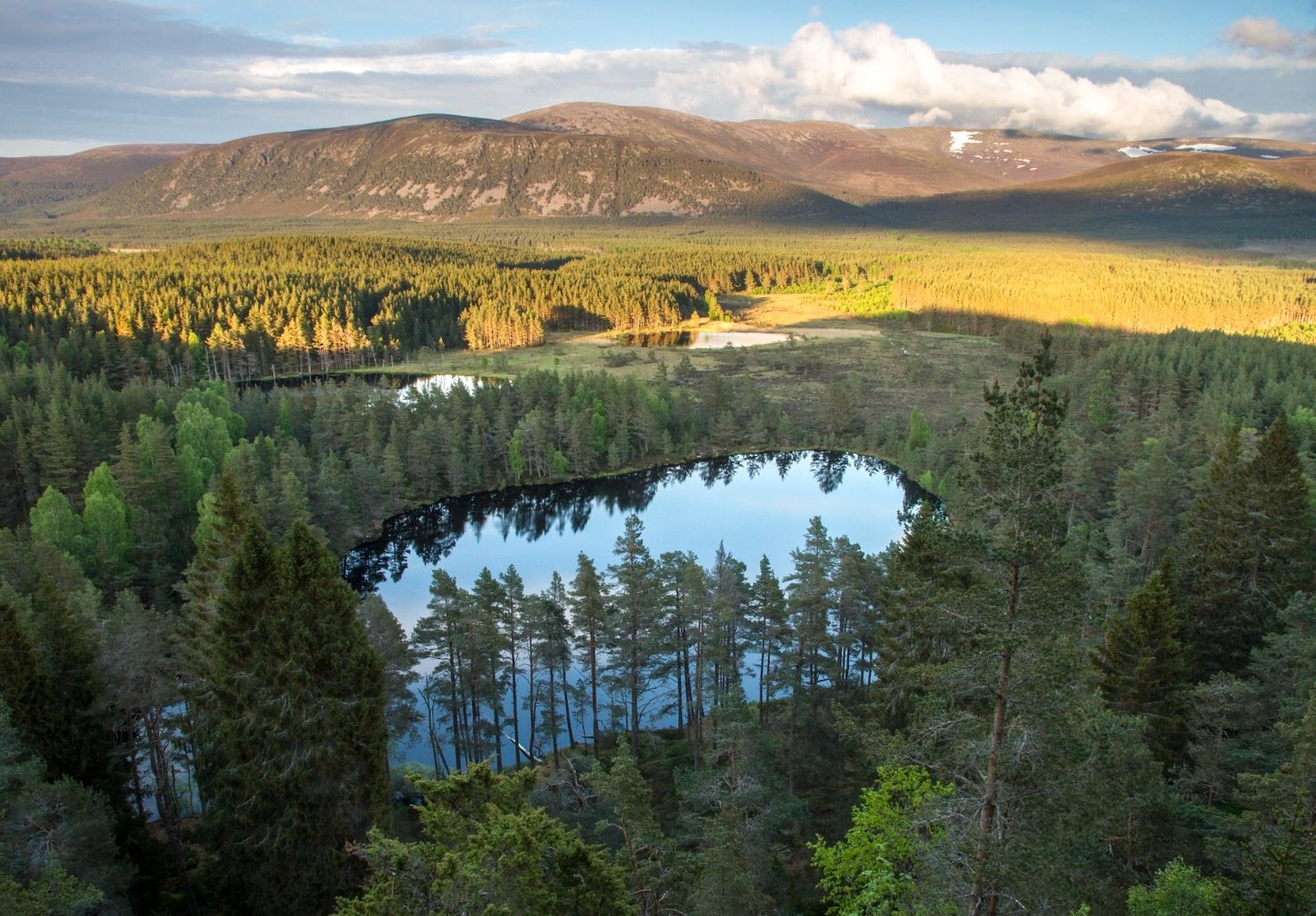 Lakes and forests photographed from air
