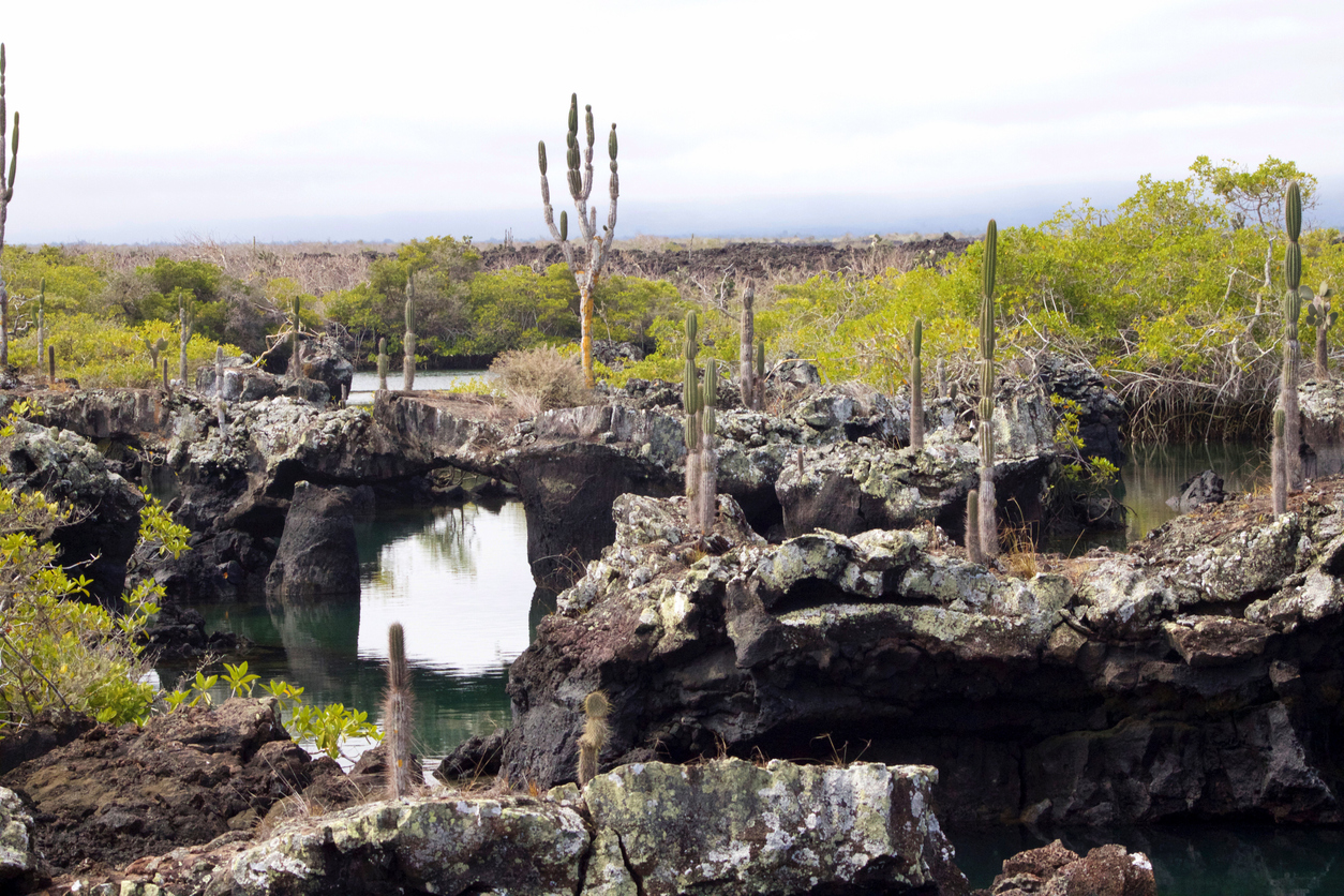 Los Tuneles in Isabela