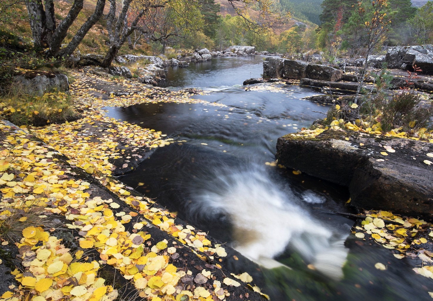 A cascading river in autumn