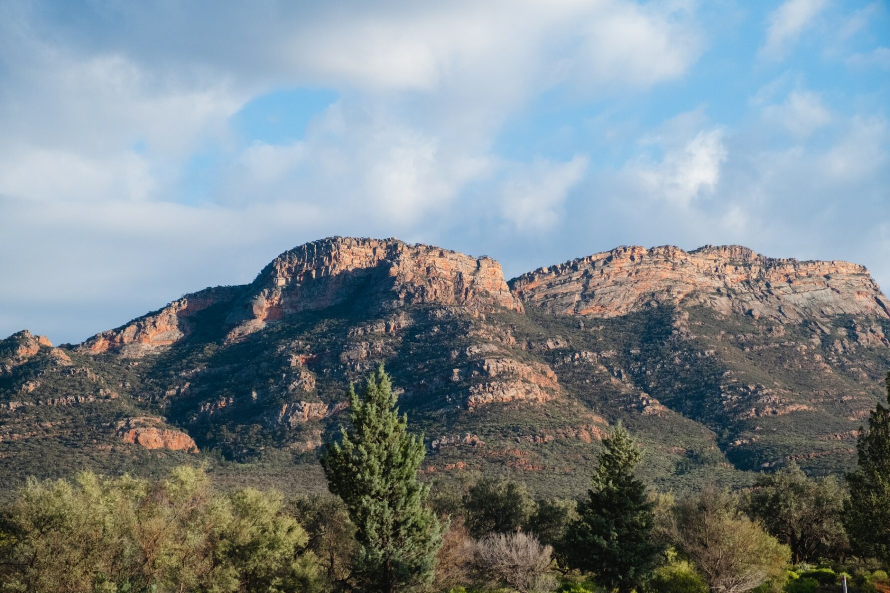 A mountain in the Ikara-Flinders Ranges, Australia.