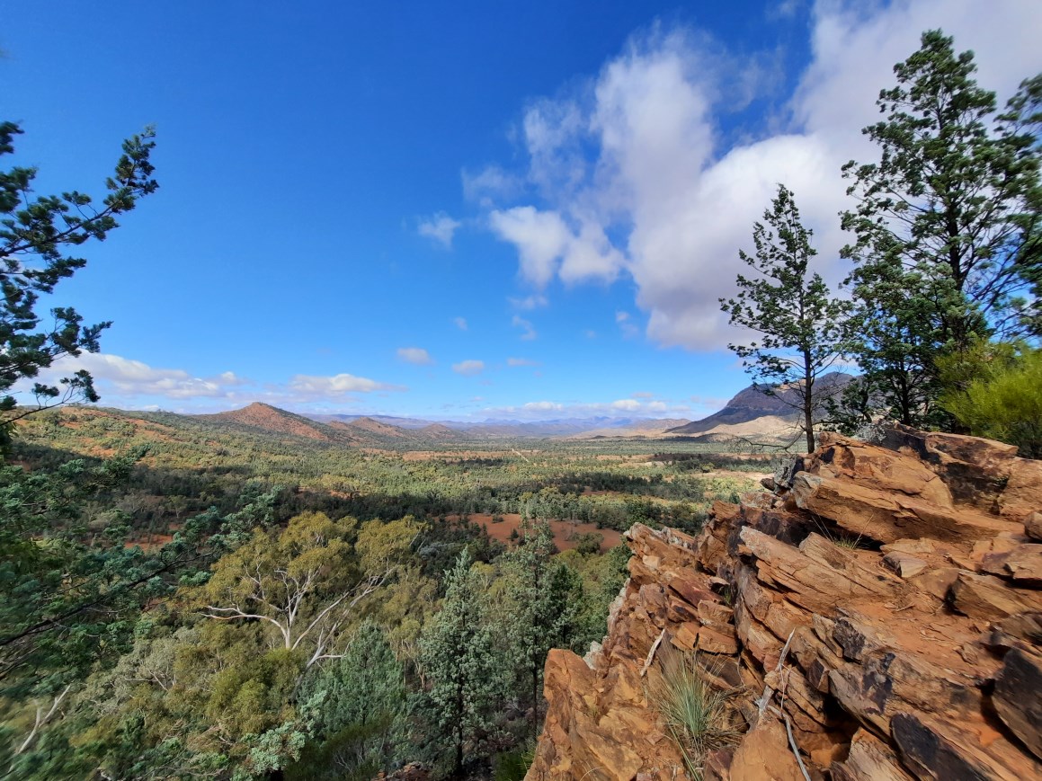 The landscape of the Australian Outback with red rocks and a forest typical for a semi-arid climate.