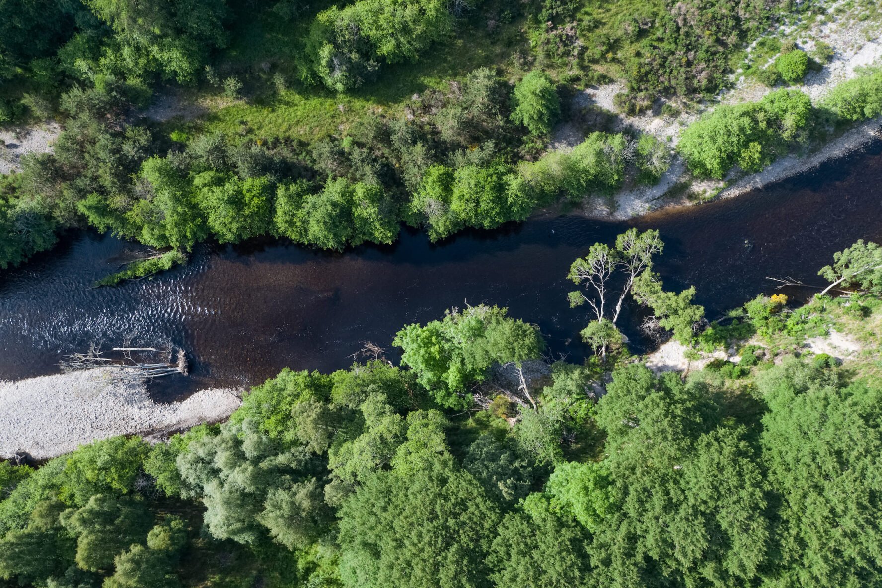 River in the Cairngorms in Scotland