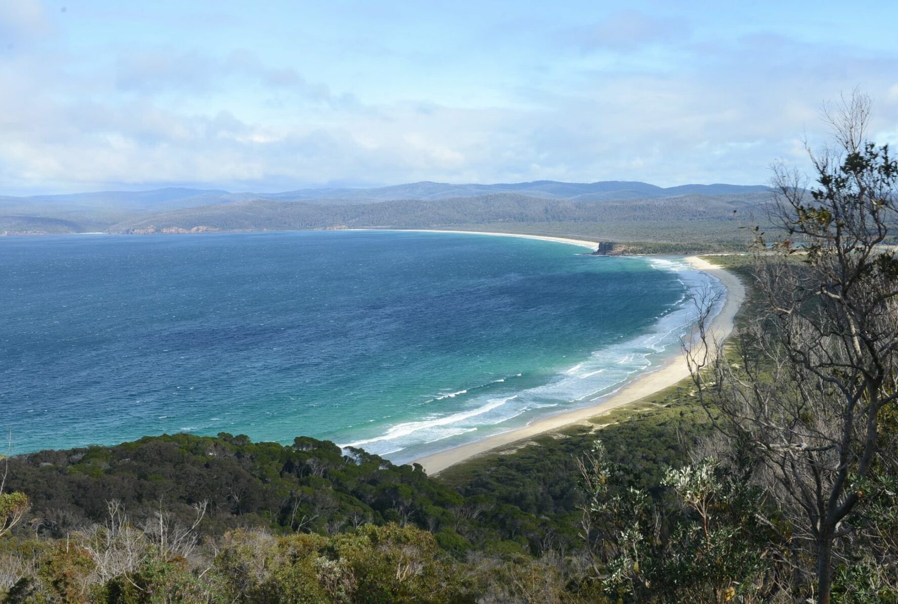 Landscape along the Sapphire Coast, Australia, seen from a hill, with a sandy shore at the edge of a forest.