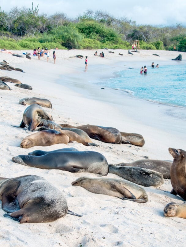 Guided Galapagos active holiday