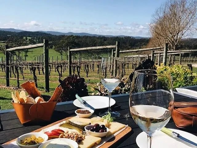 Tasmanian wine and cheeses on a table atop a vineyard.
