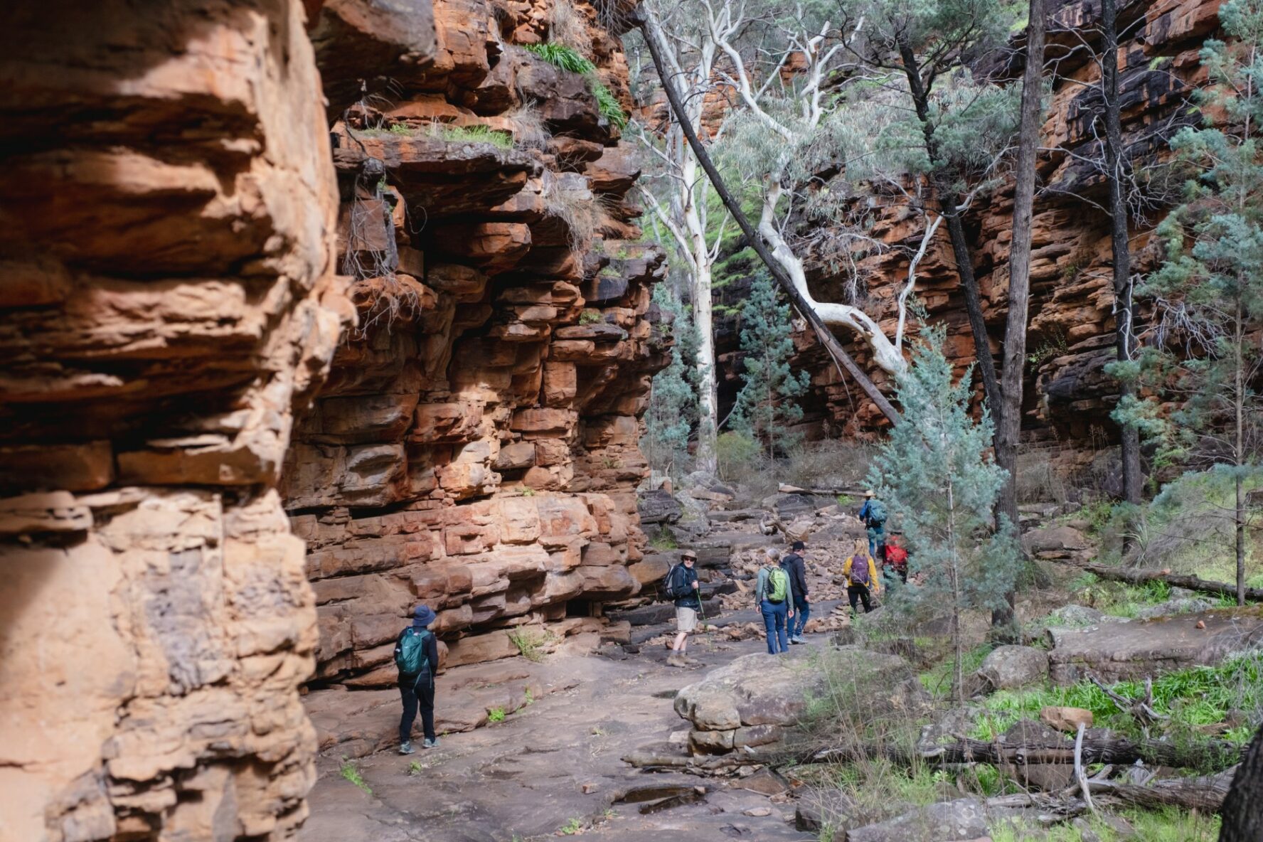 Hikers on a trail with vertical rocks, Ikara, South Australia.