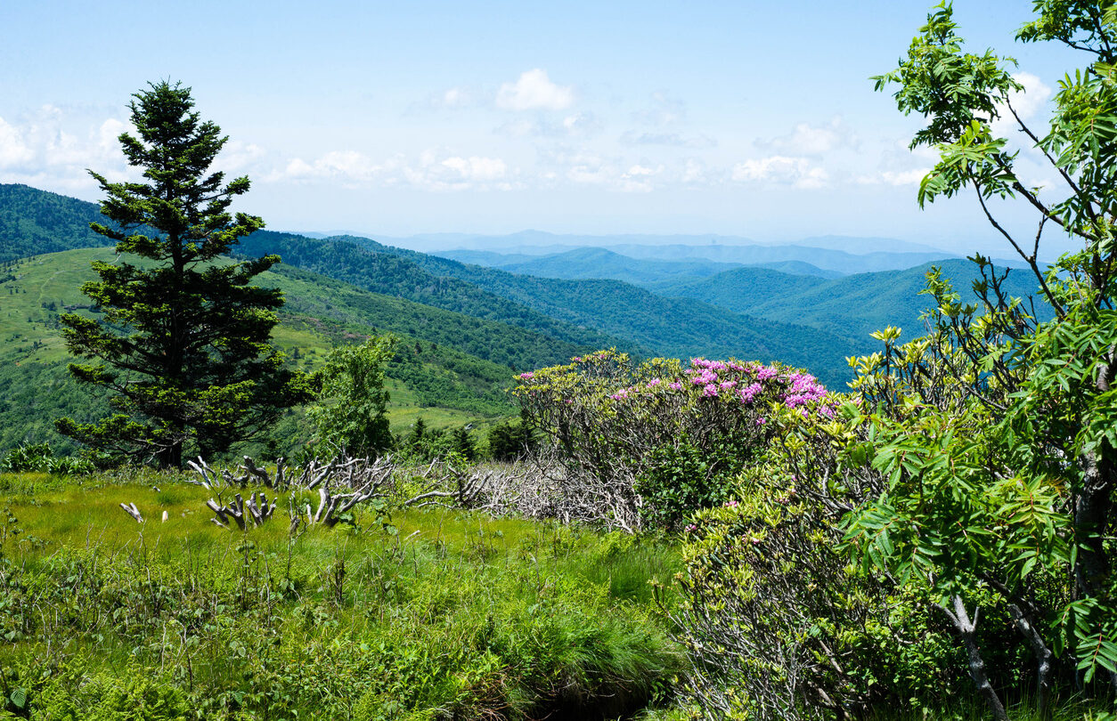 Long distance view of the Appalachian Mountains as see from Roan Mountain in Tennessee