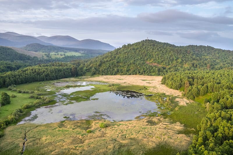 Wilderness of the Cairngorms