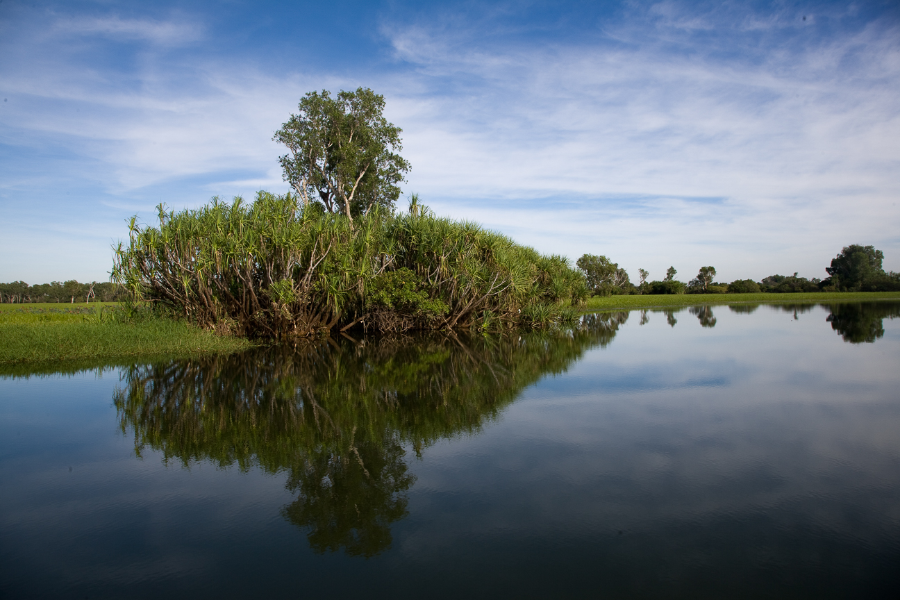 Yellow water billabong, Kakadu National Park.