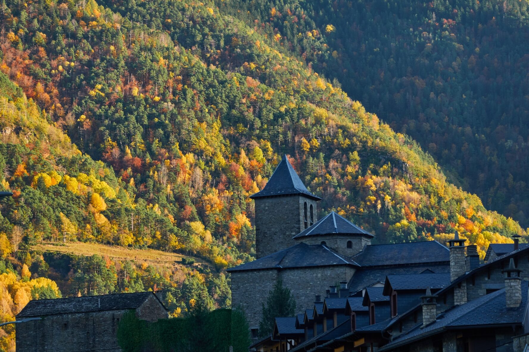 Bujaruelo and its beech forests
