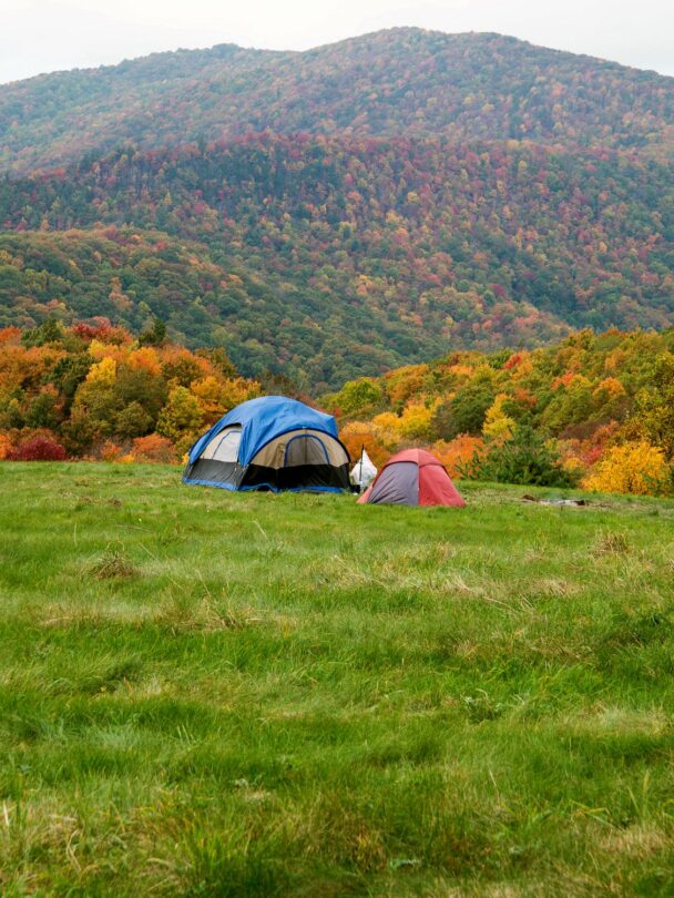 Appalachian Trail Backpacking in - Camping Max Patch Appalachian Trail 608x810 