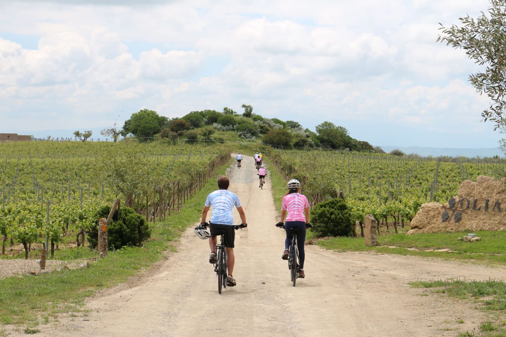 Cycling through vineyards in Sardinia