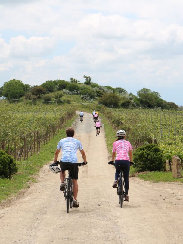 Guided Sardinia bike tour