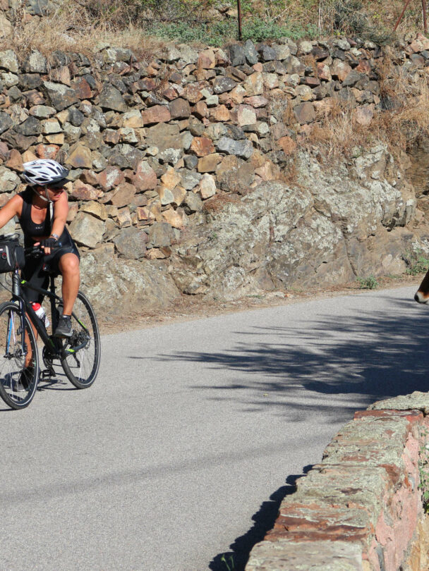 Guided Sardinia and Corsica bike tour