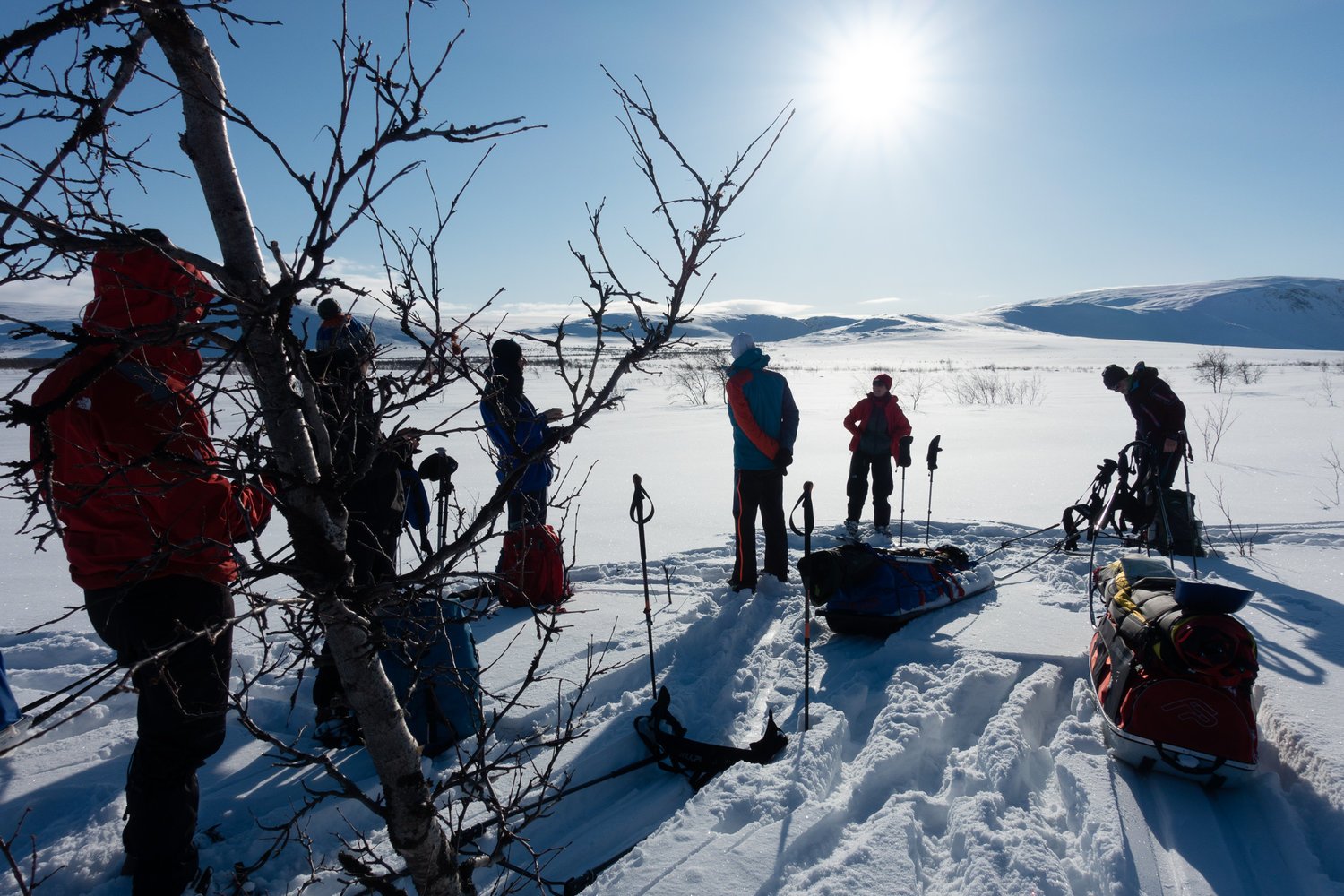 Some skiers looking at the vista beyond the trees in Halti