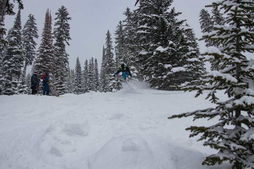 An off-piste skier jumping while skiing in powder terrain in British Columbia, Canada.